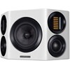 WHARFEDALE EVO4S /Paar
