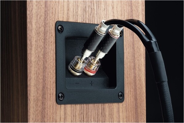 Pro-Ject Speaker Box 5 S2 /Paar