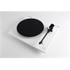 REGA Planar 2