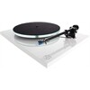 REGA Planar 3 (ohne System)