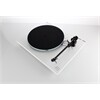 REGA Planar 3 (ohne System)