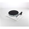 REGA Planar 3 (ohne System)