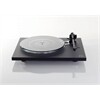 REGA Planar 6 (ohne System)
