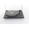 REGA Planar 6 (ohne System)