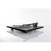 REGA Planar 6 (ohne System)