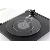 REGA Planar 6 (ohne System)