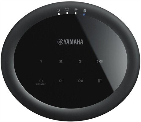 Yamaha MusicCast 20 WX-021