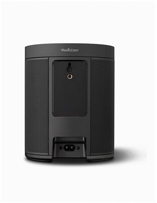 Yamaha MusicCast 20 WX-021