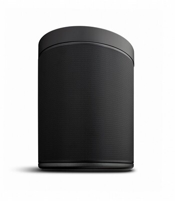 Yamaha MusicCast 20 WX-021