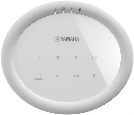 Yamaha MusicCast 20 WX-021