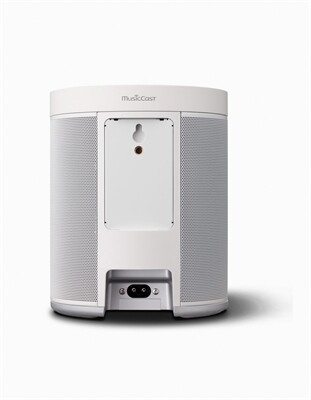 Yamaha MusicCast 20 WX-021