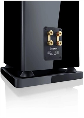 Canton Townus 100 /Stück