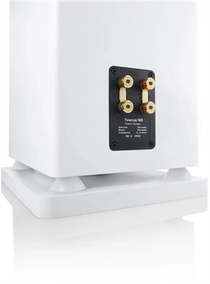 Canton Townus 100 /Stück