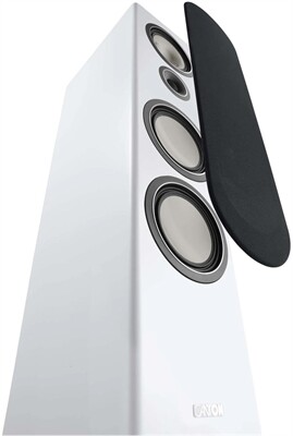 Canton Townus 100 /Stück