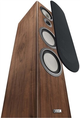 Canton Townus 100 /Stück