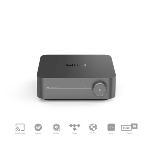 BildLink zu Wiim Amp Pro