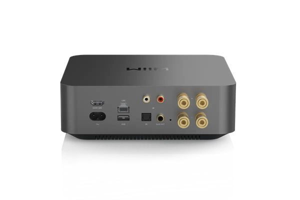 Wiim Wiim Amp Pro
