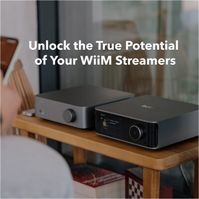 Wiim Wiim Vibelink Amp