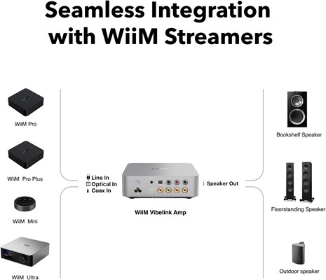 Wiim Wiim Vibelink Amp