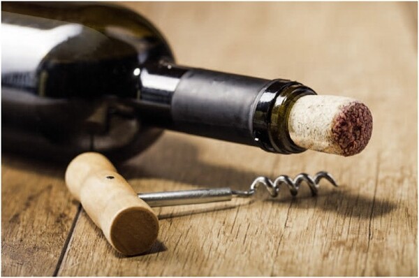 Caso WineComfort 24