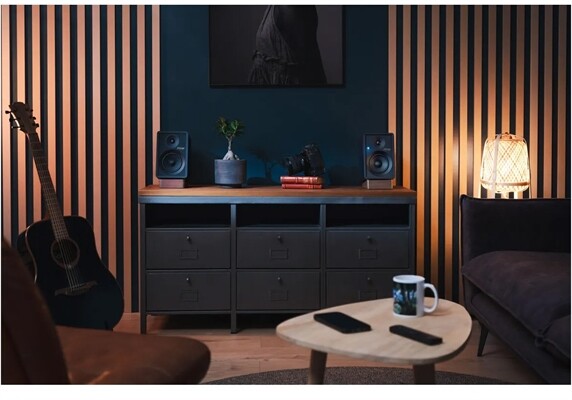 Onkyo GX30-ARC /Paar