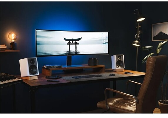 Onkyo GX30-ARC /Paar