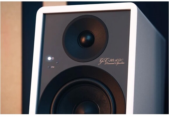 Onkyo GX30-ARC /Paar