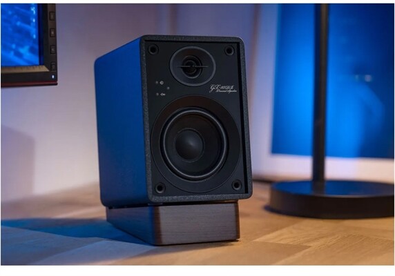 Onkyo GX10-DB /Paar