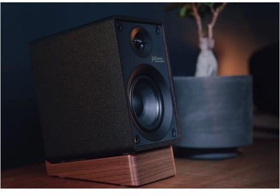 Onkyo GX10-DB /Paar