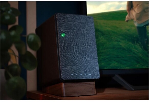 Onkyo GX10-DB /Paar