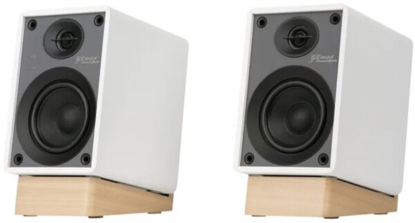 Onkyo GX10-DB /Paar