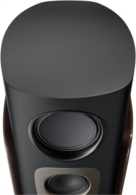 Canton Reference GS /Stück