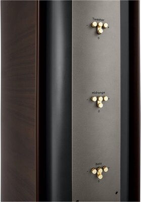 Canton Reference GS /Stück