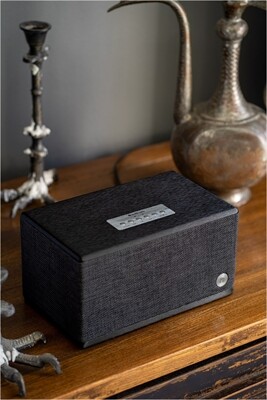 Audio Pro BT5