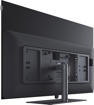 Loewe inspire 55 dr+