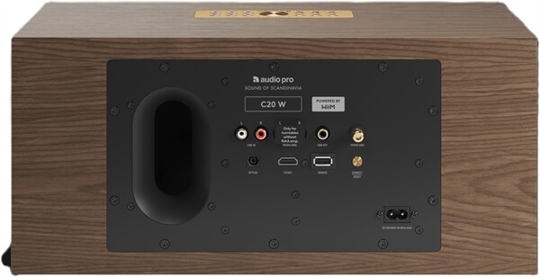 Audio Pro C20 W /Stück