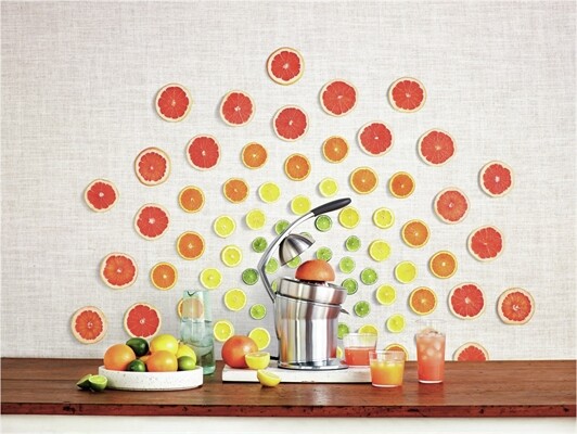 Sage the Citrus Press Pro