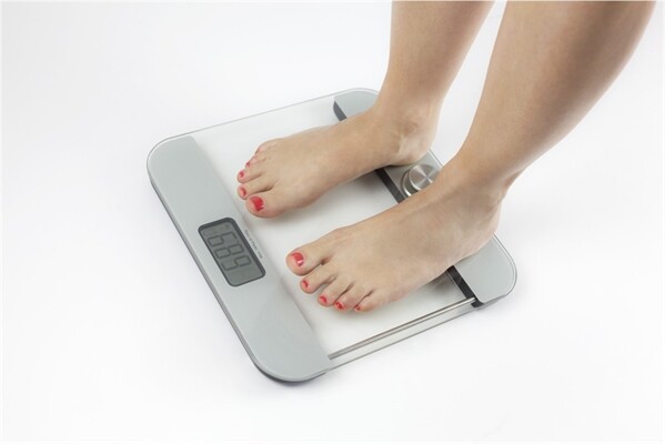 Caso BodyEnergy Ecostyle