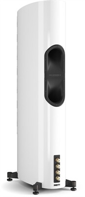 DALI Epikore 9 /Stück