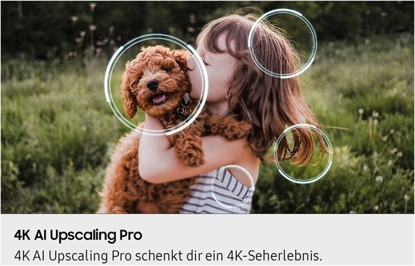 Samsung GQ55S93FAE Aussteller