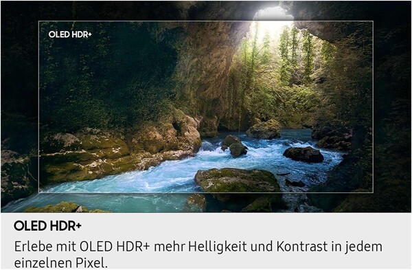 Samsung GQ55S93FAE Aussteller