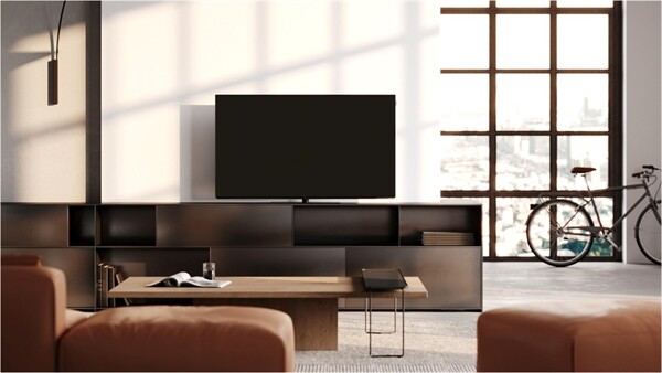 Loewe We. SEE 65 oled dc
