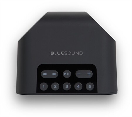 Bluesound Pulse Flex 2i + BP 100 Set