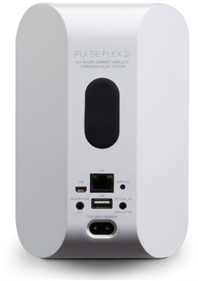 Bluesound Pulse Flex 2i + BP 100 Set
