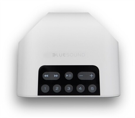 Bluesound Pulse Flex 2i + BP 100 Set