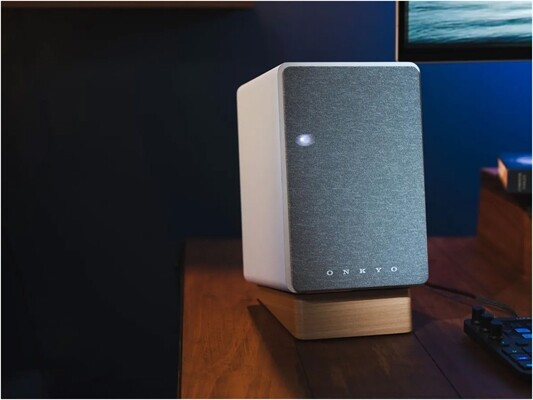 Onkyo GX10-DB /Paar