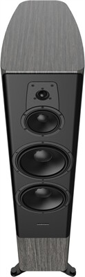 DYNAUDIO Contour 60i /Paar