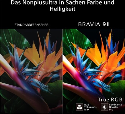 Sony BRAVIA 9M2 K-65XR95M2