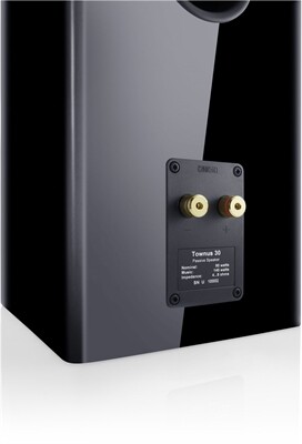 Canton Townus 30 /Stück