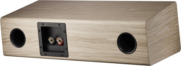 DYNAUDIO Evoke 25 C